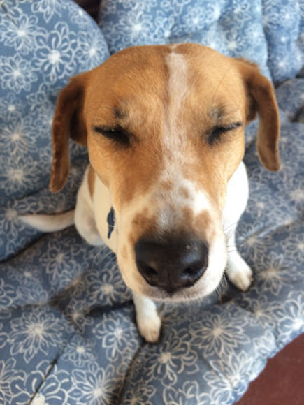 Meet your Posher, Camille - Picture 1 of 1